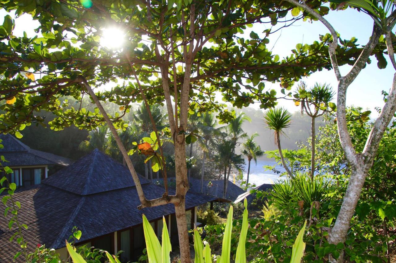 Trevally 4* Nusa Lembongan (Bali)