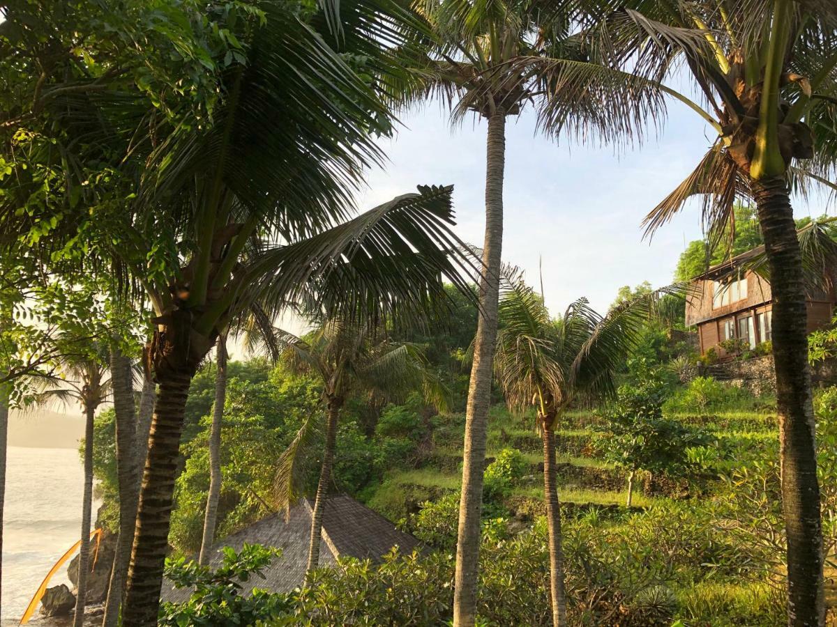 Trevally Holiday park 4*