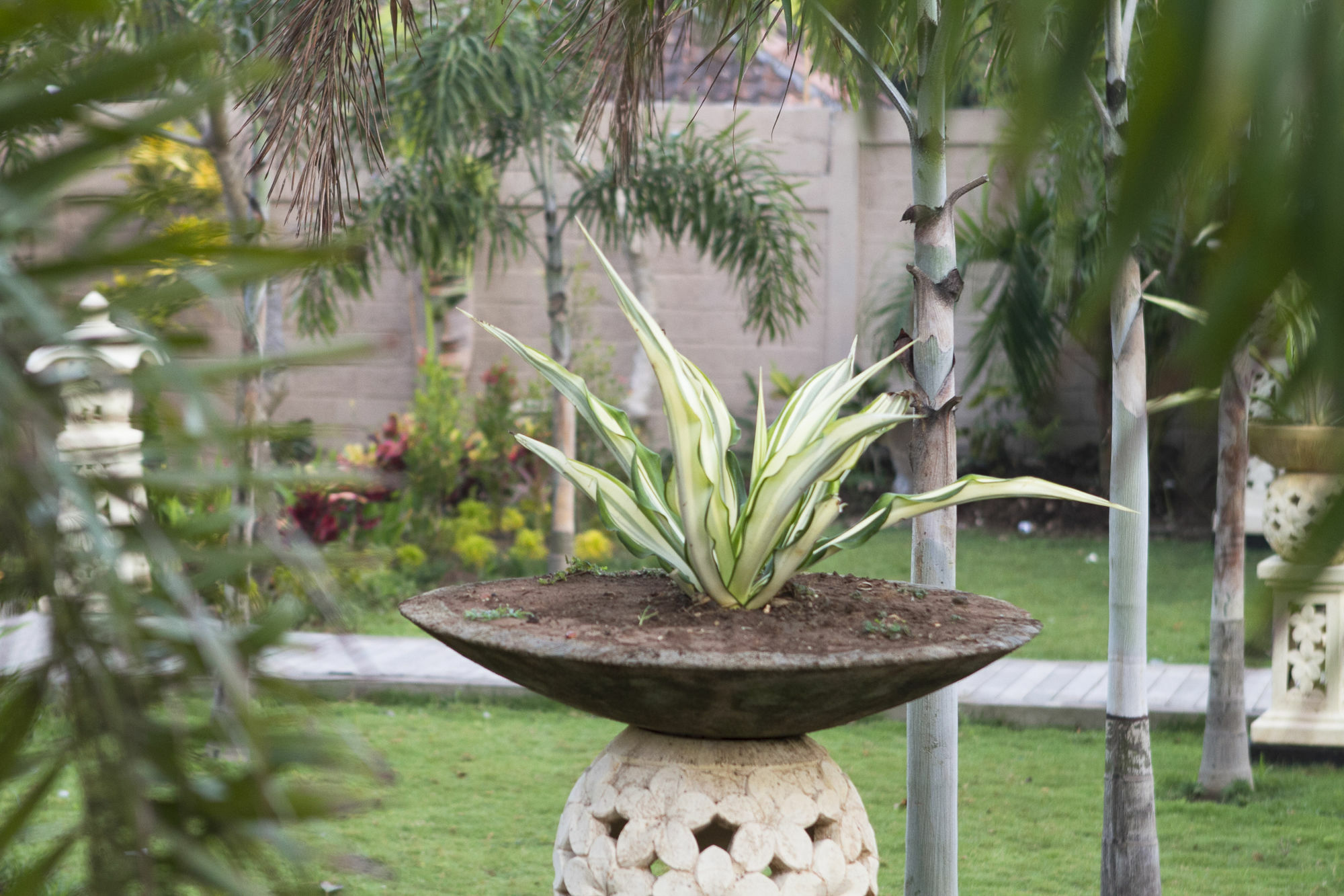 The Palm Grove Nusa Lembongan (Bali)