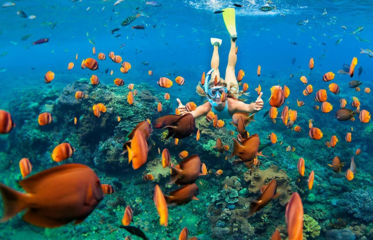 Mamamia Island Hotel 4*