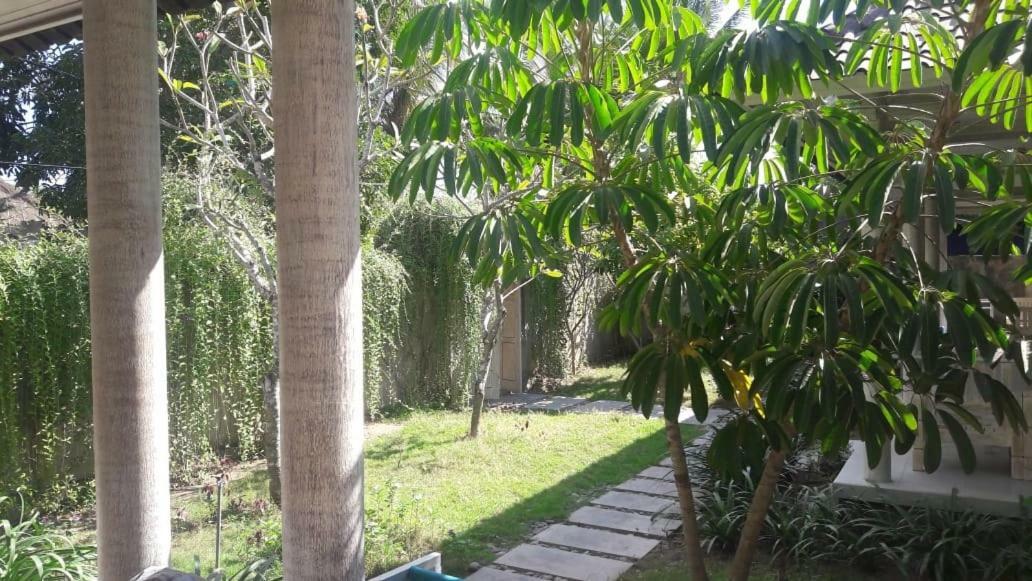 Vista Huts Nusa Lembongan (Bali)