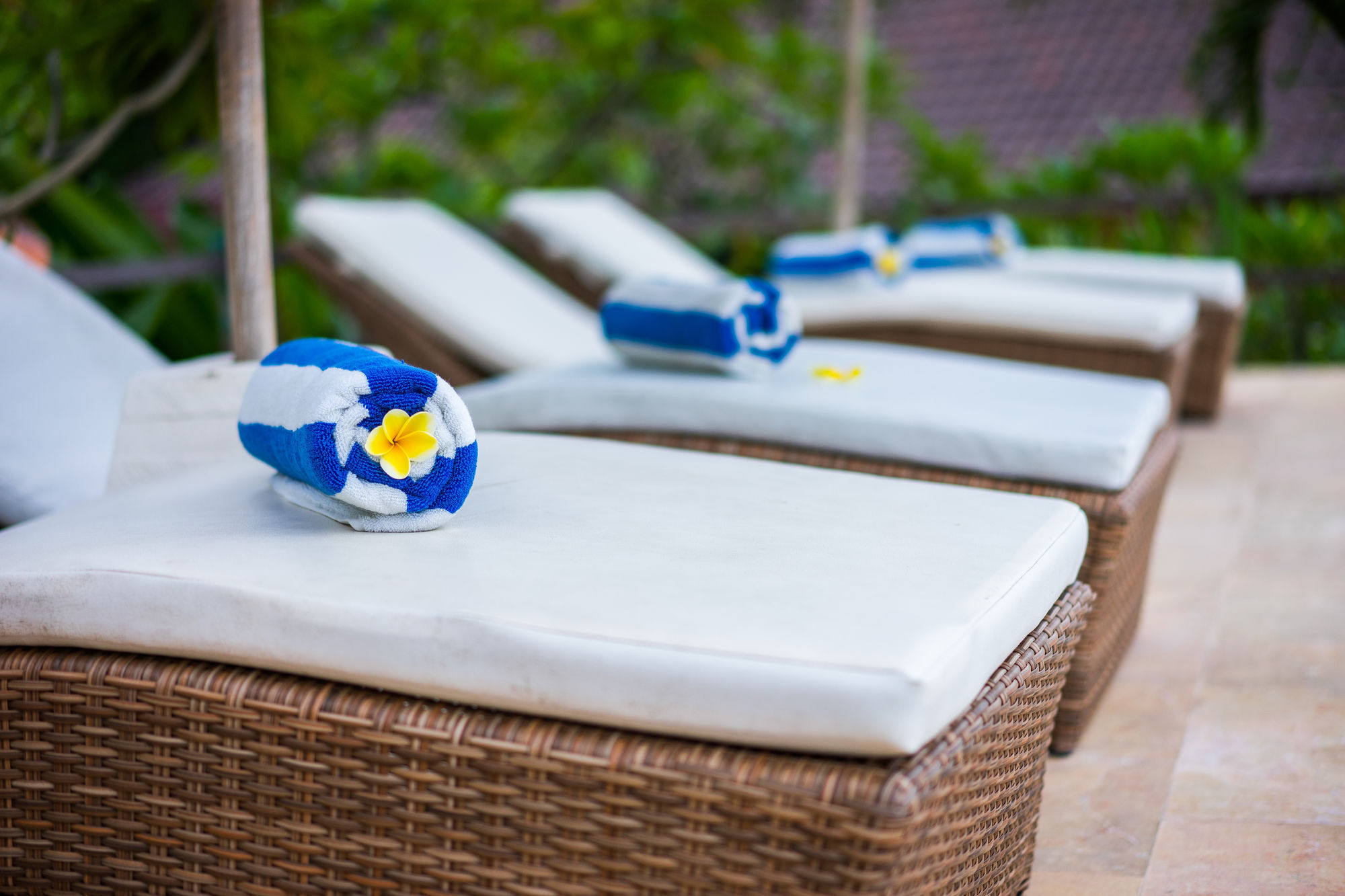 Guest house Grand Sea View 2*