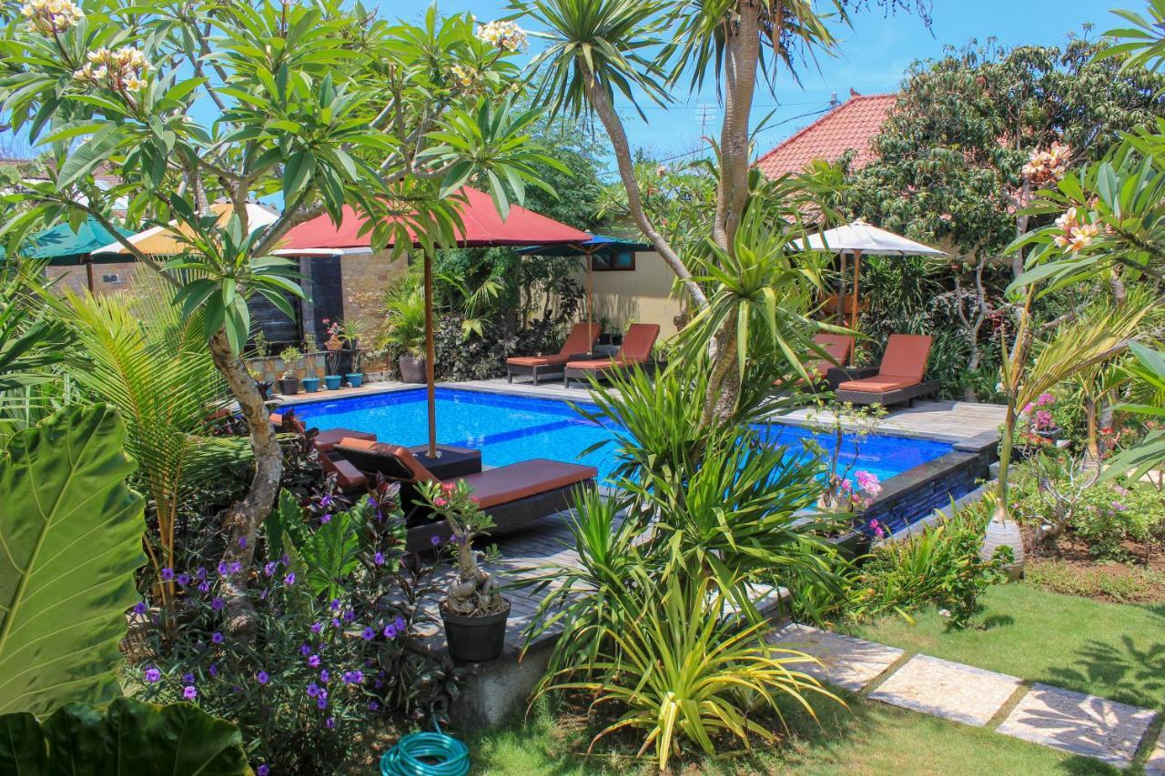 Guest house Pattri Garden 3*