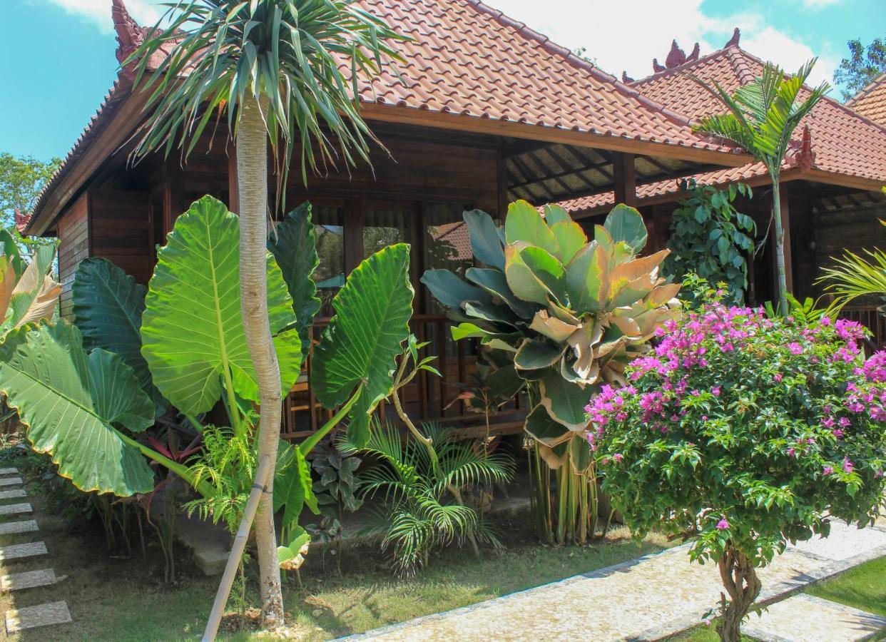 Pattri Garden 3*