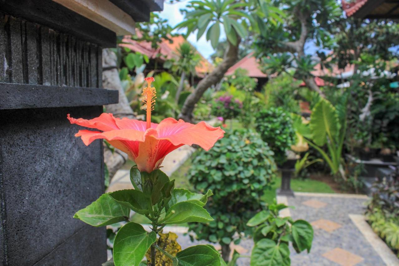 Pattri Garden