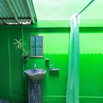 The Green Groves