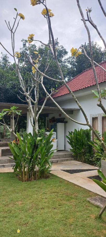 Castaway Island Hostel