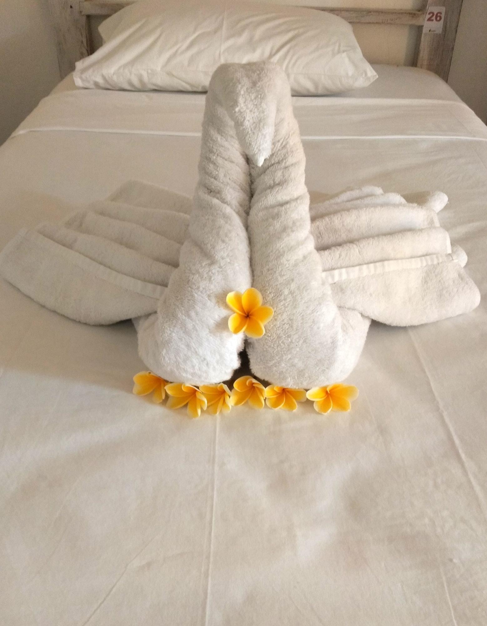 Castaway Island Hostel