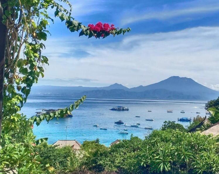 Holiday park Pandana Boutique