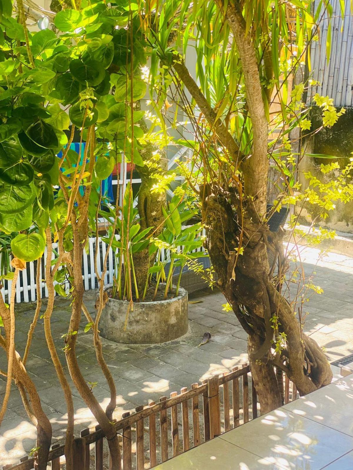 Holiday park Tarci Lembongan