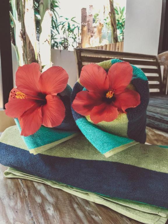 Pandana Boutique Holiday park 3*