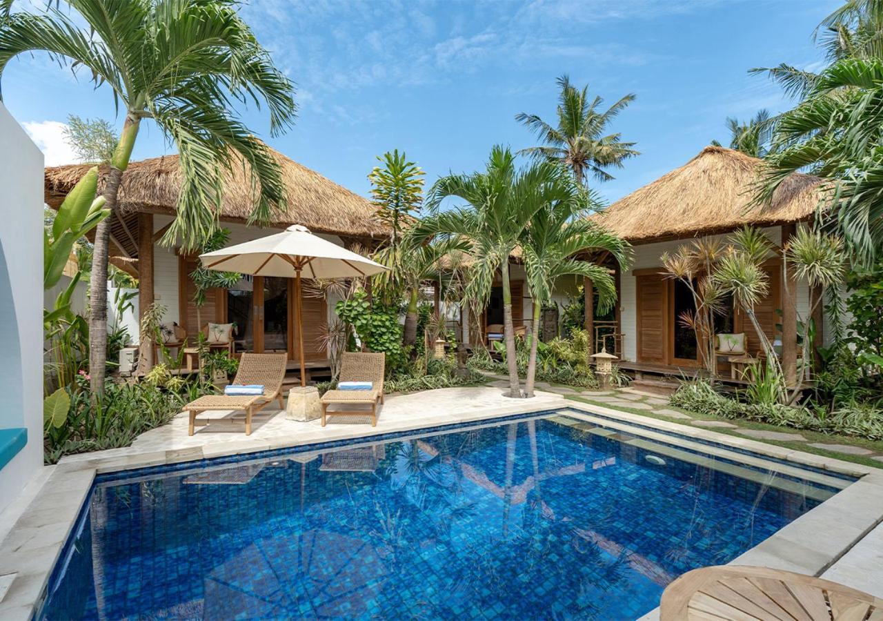 Tropica Tranquility *