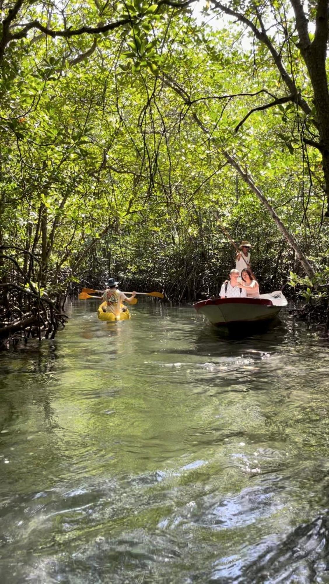 Mangrove Hut *