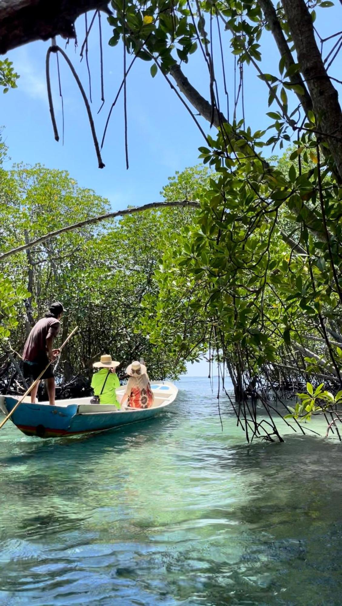 Wisma tamu Mangrove Hut