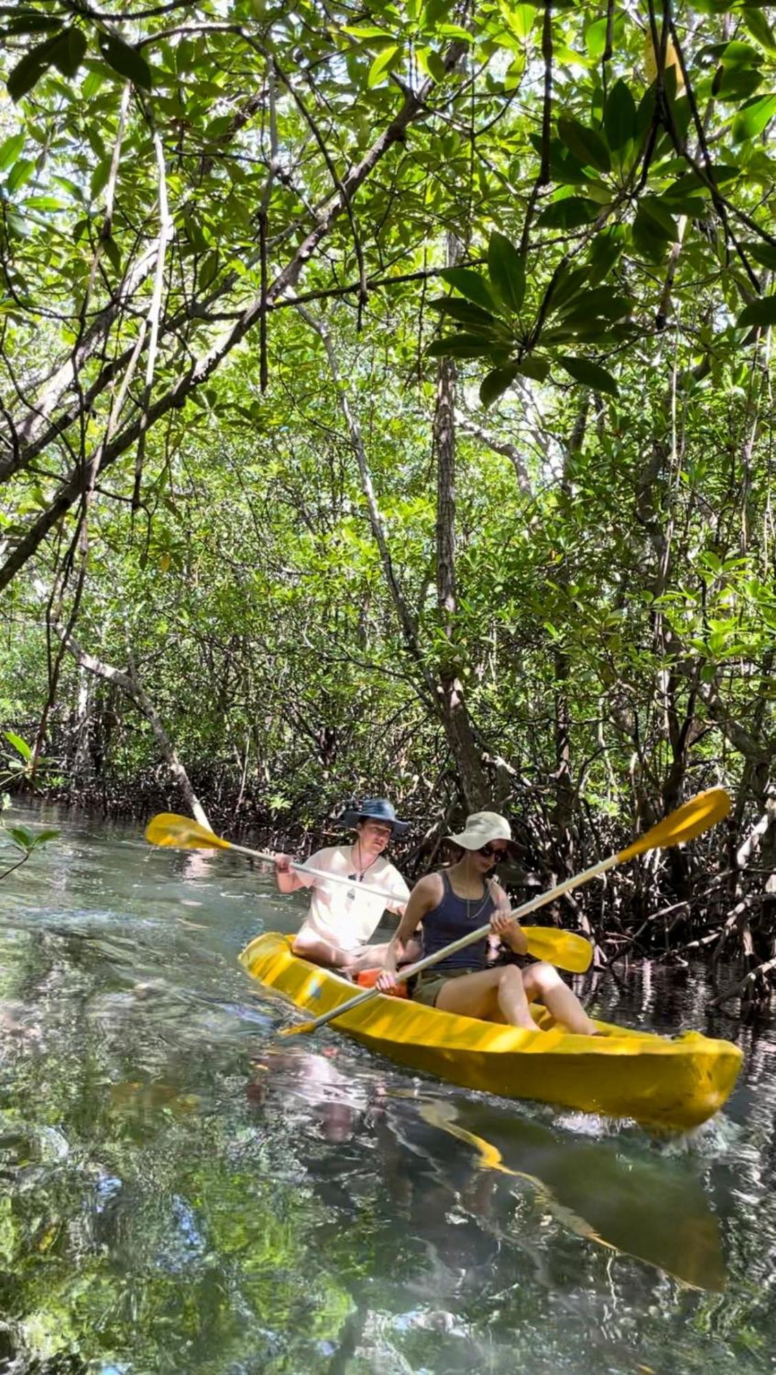 Mangrove Hut Wisma tamu