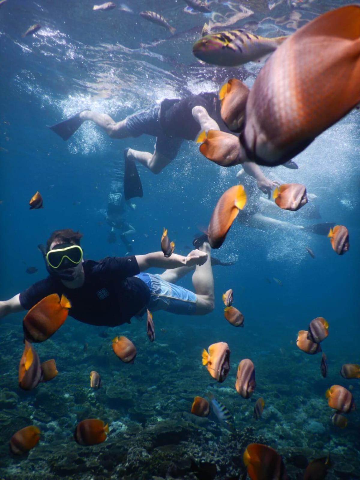 Karang Island * Nusa Lembongan (Bali)