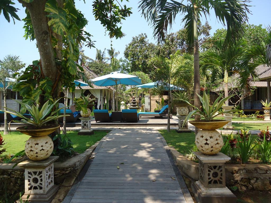 The Palm Grove 4*
