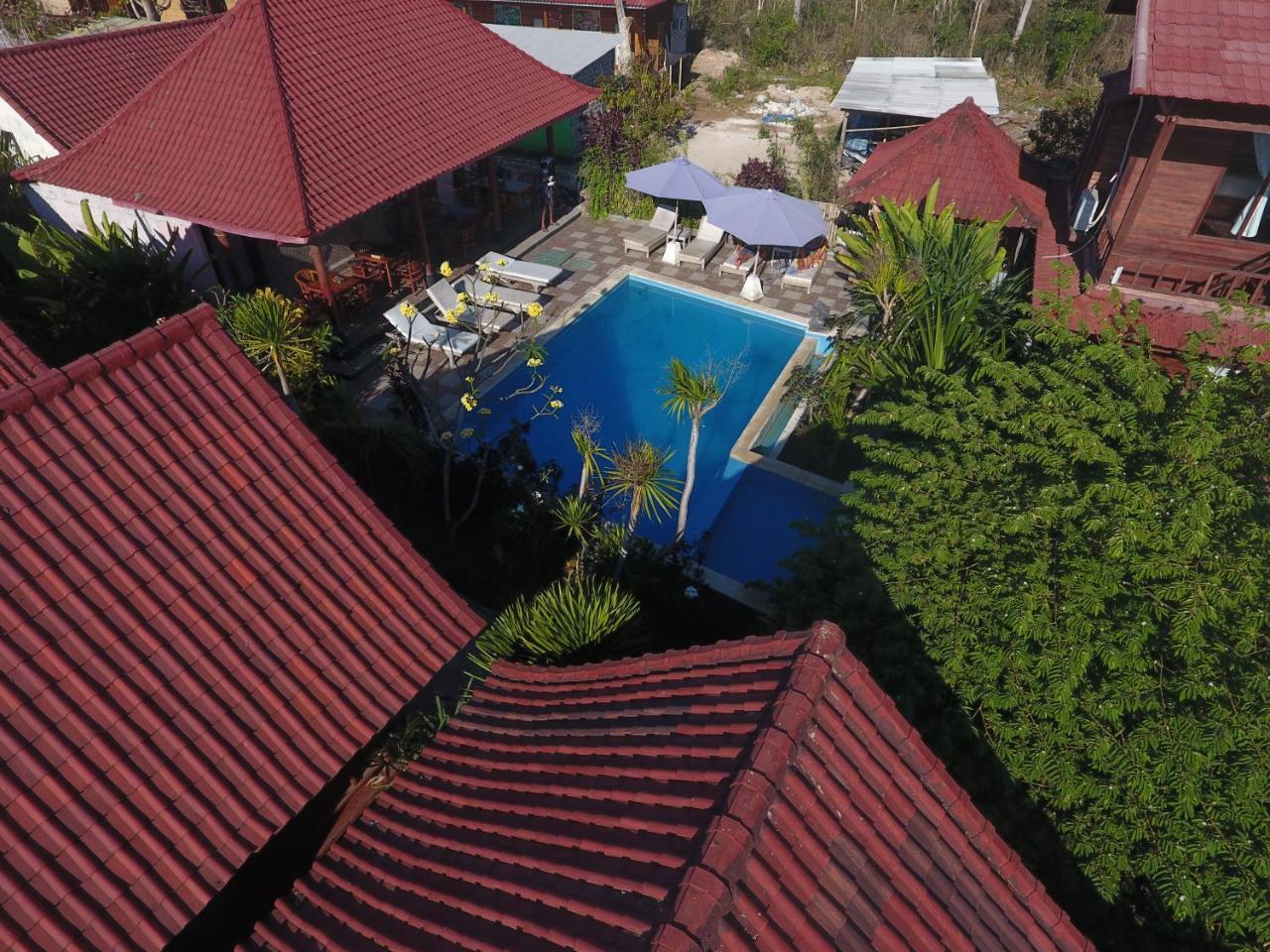 Guest house Dream