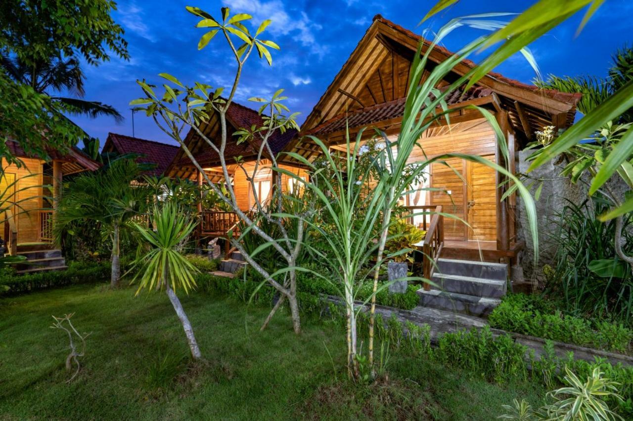 Dream Guest house 3*