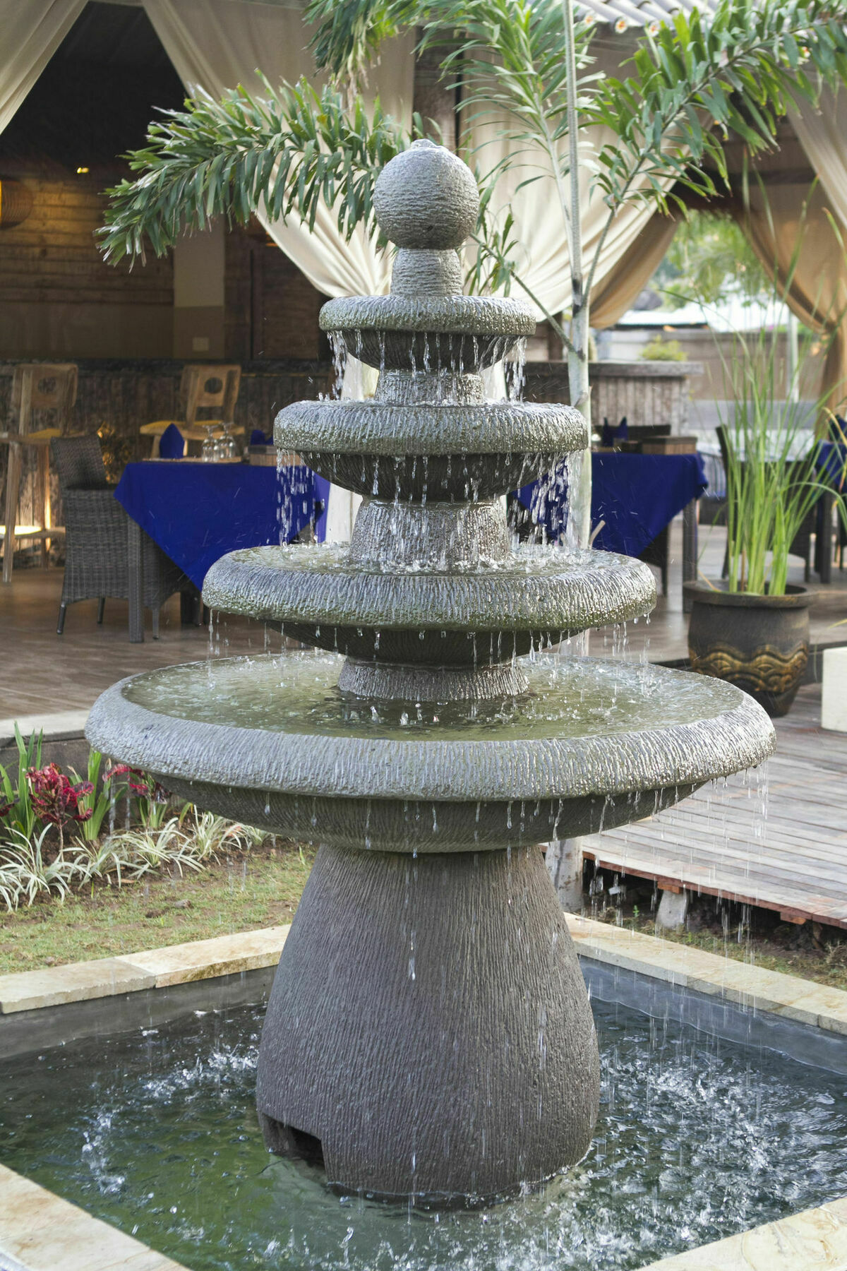 Hotel The Palm Grove