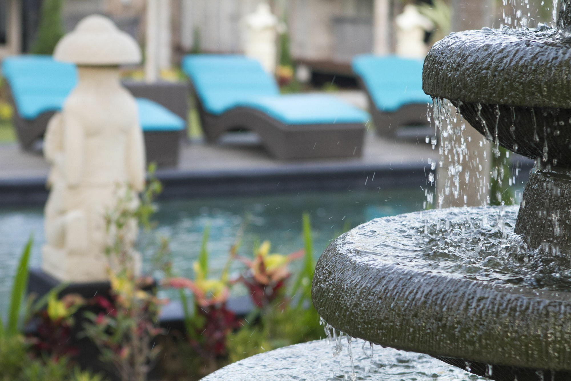 Hotel The Palm Grove Nusa Lembongan (Bali)