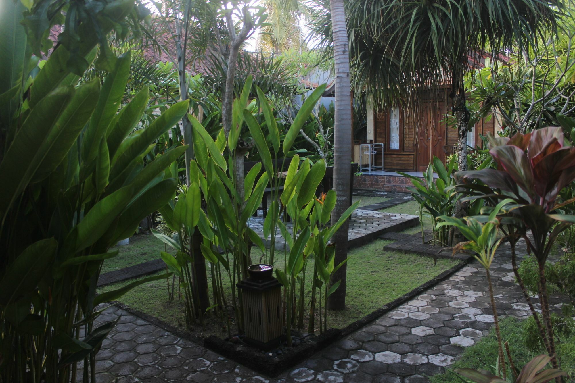 Homestay Surya