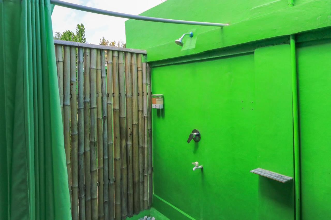 Hostel The Green Groves *