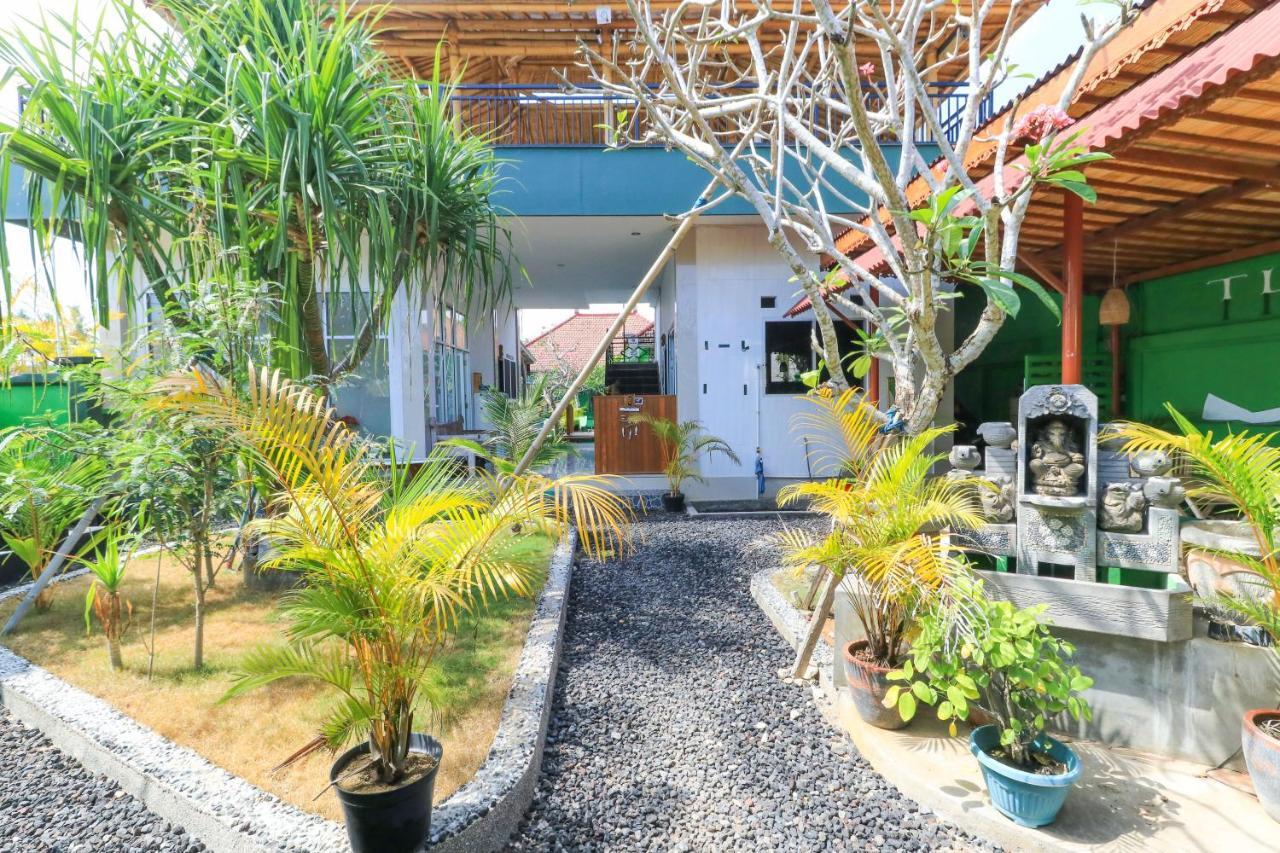 Hostel The Green Groves *