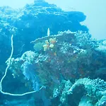 Kawans Inn Lembongan