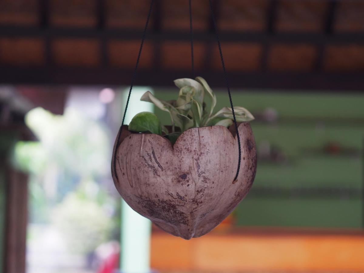 Guest house Nyoman And Grill Nusa Lembongan (Bali)