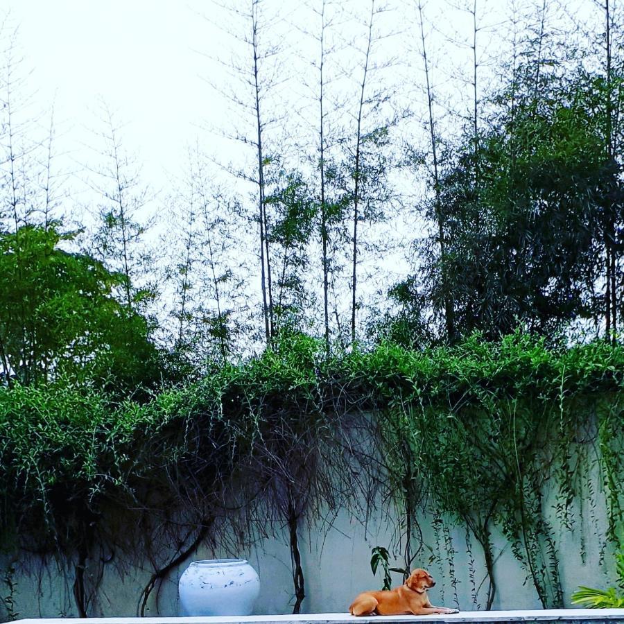 Orchid 18m Pool, Sea View Nusa Lembongan (Bali)