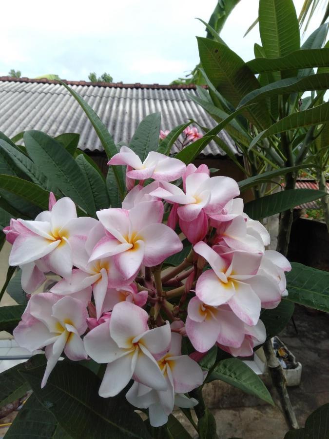 Guest house Gatri Hut