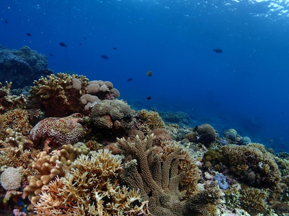 Pandan Wangi Homestay Nusa Lembongan (Bali)