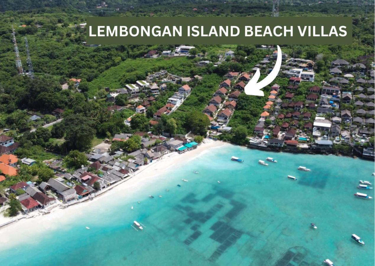 Island *