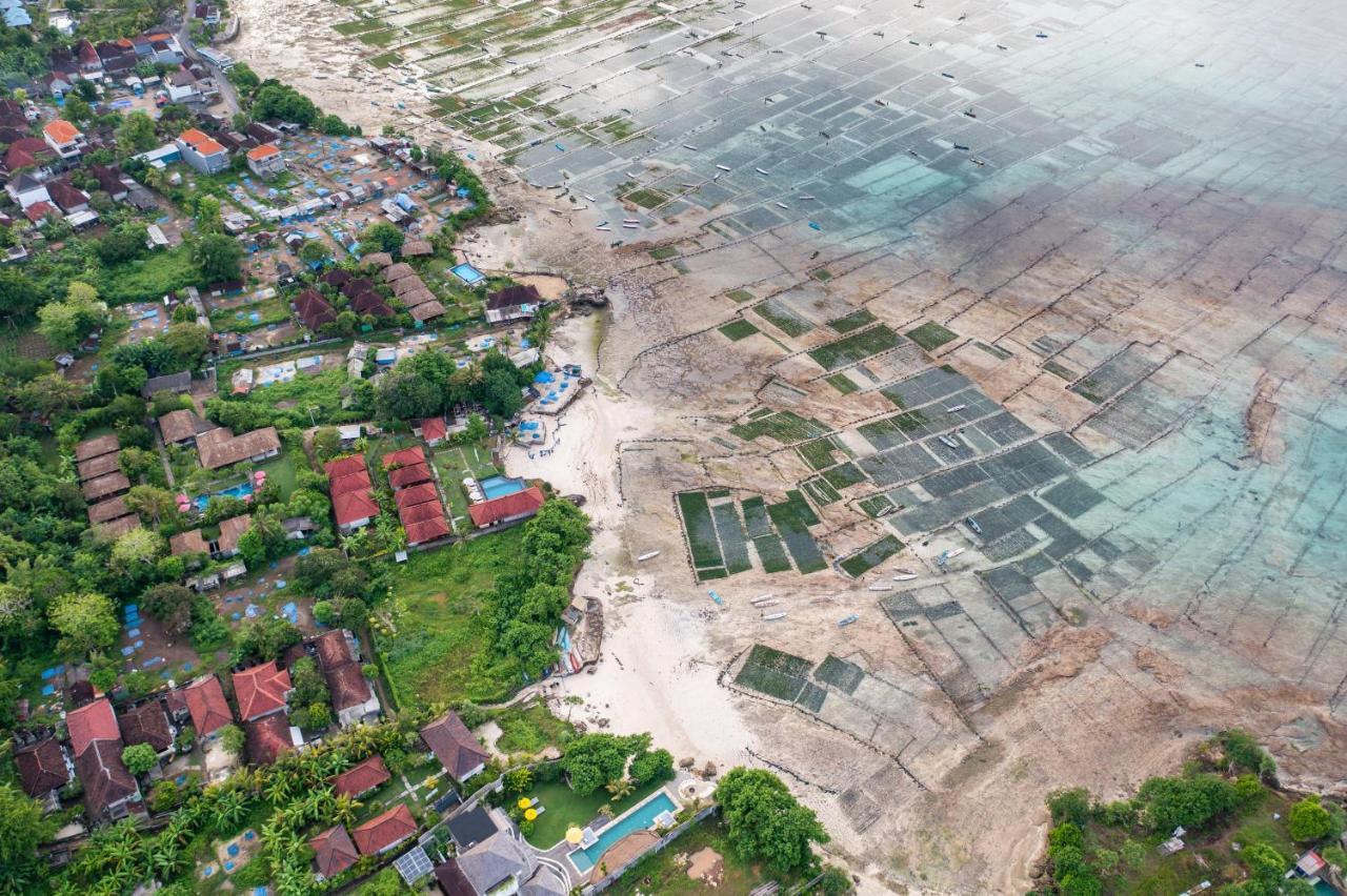 Katoni * Nusa Lembongan (Bali)