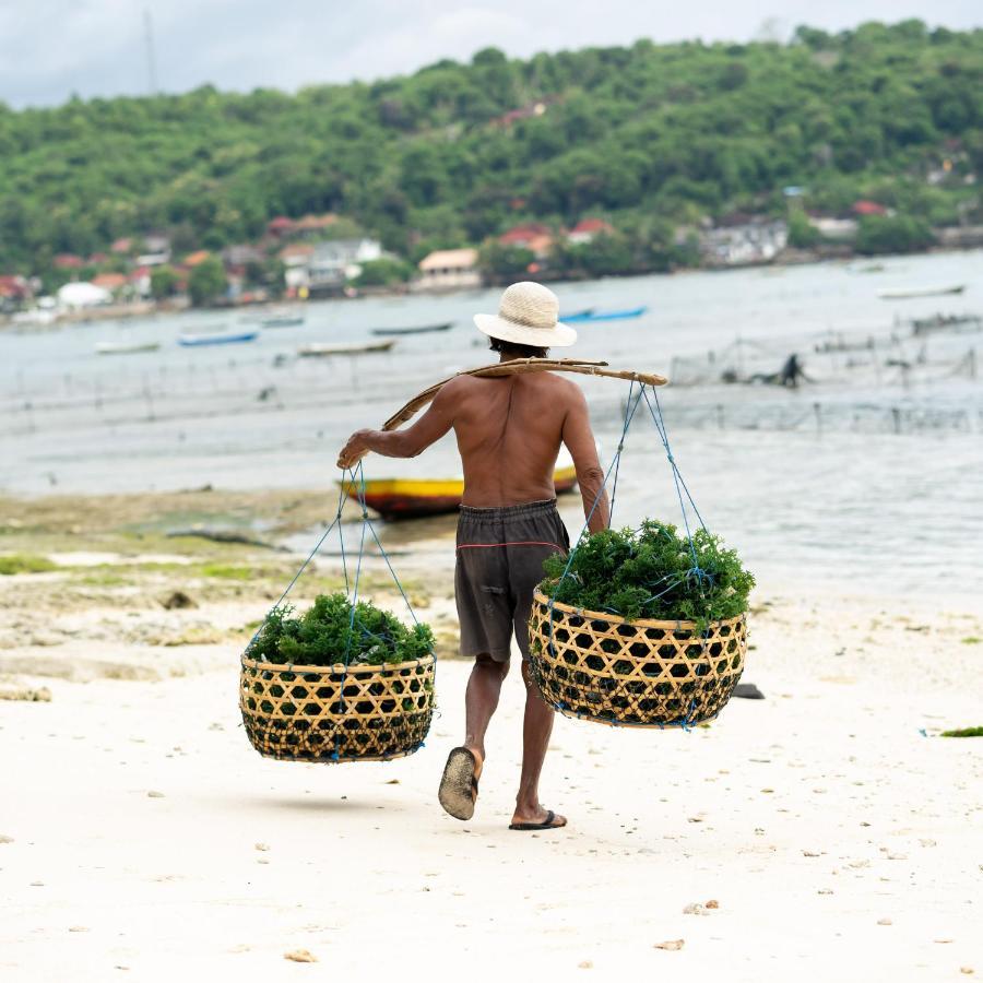 Katoni * Nusa Lembongan (Bali)