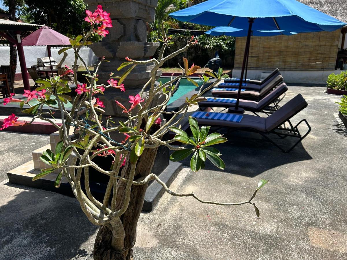 Guest house Allure Nusa Lembongan (Bali)