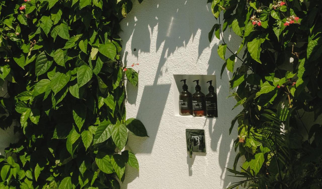 The Shacks At Sandy Bay Villa