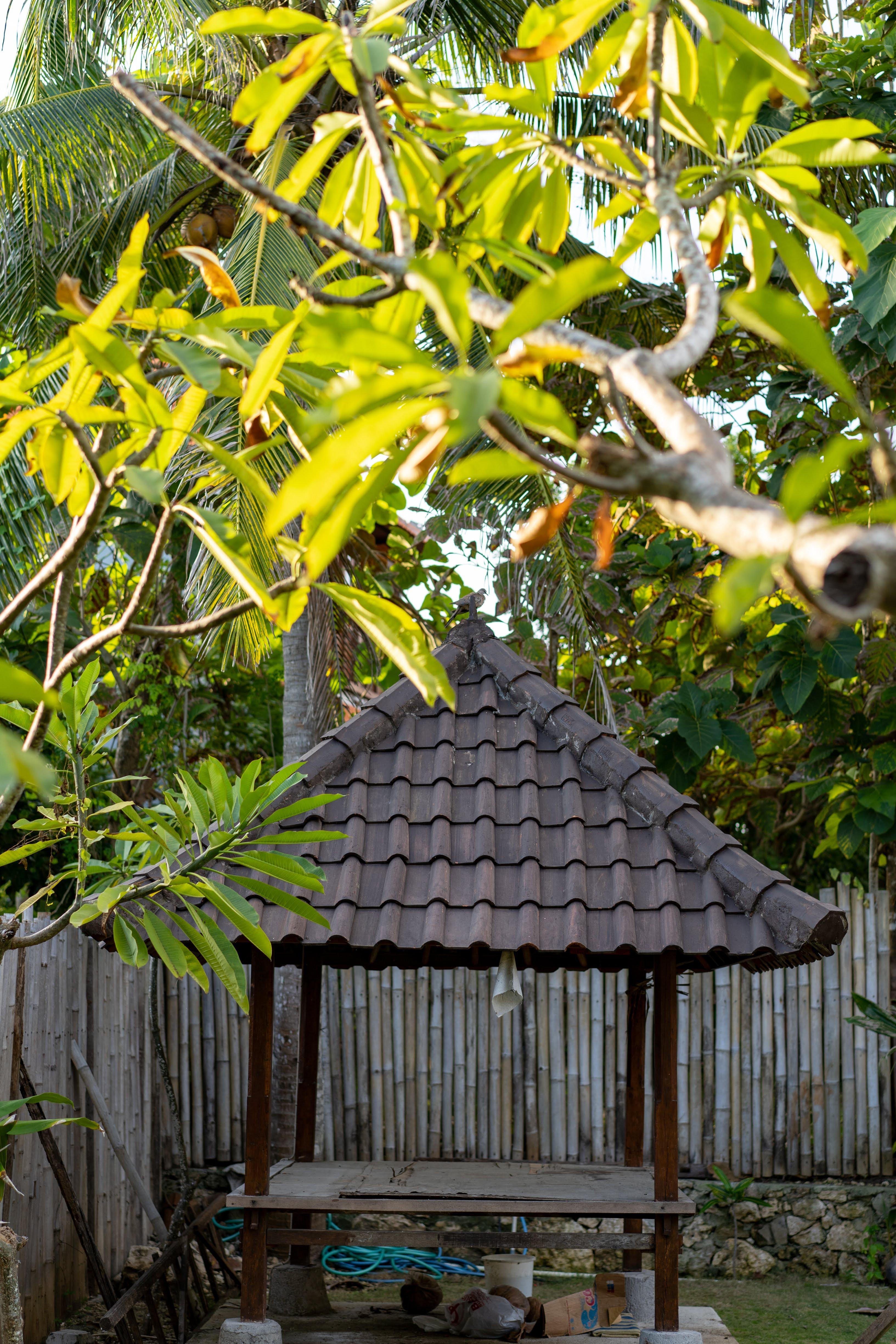 Guest house Pemuntalan Nusa Lembongan (Bali)