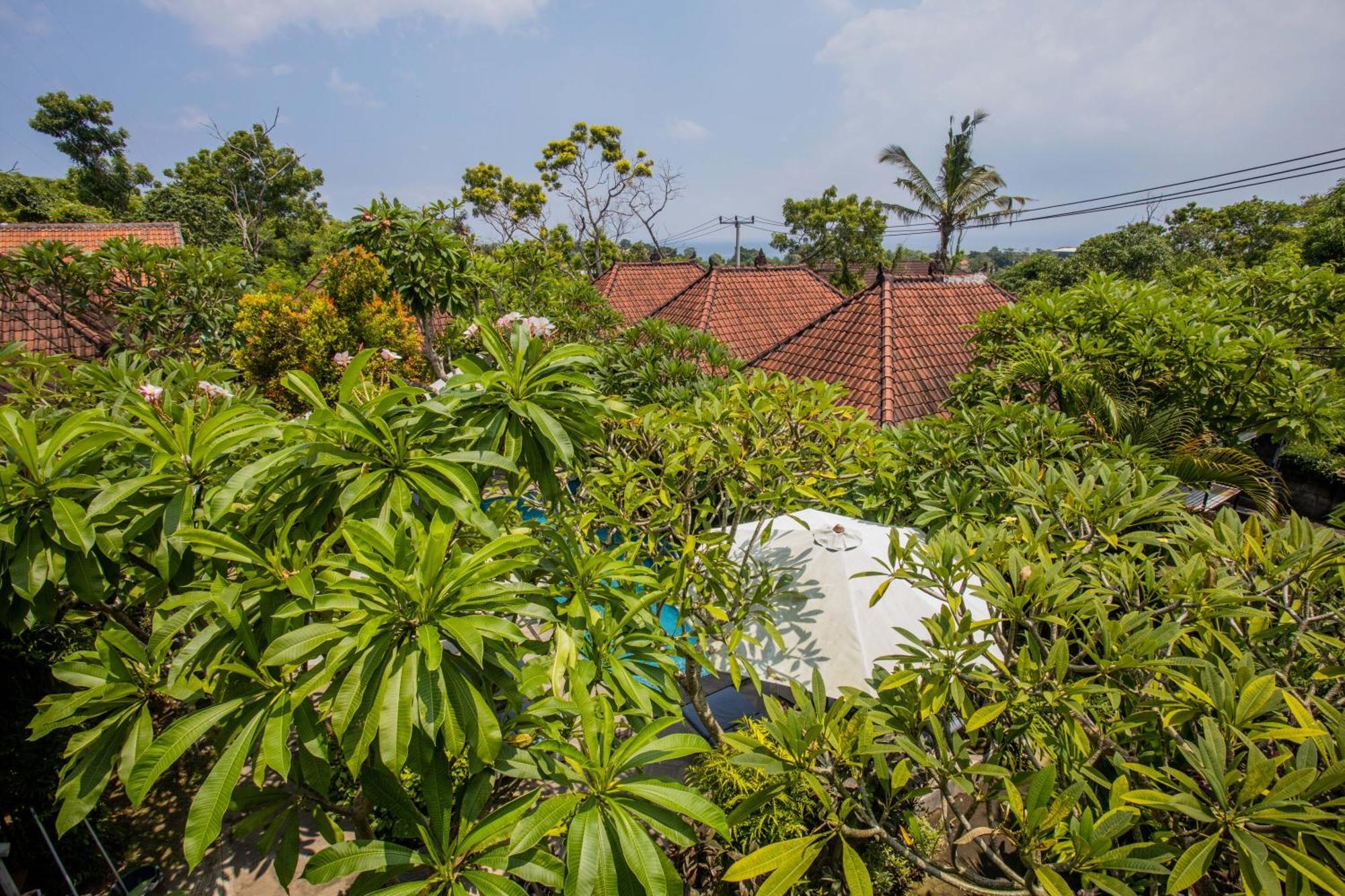 Taman liburan 221 Garden 3*