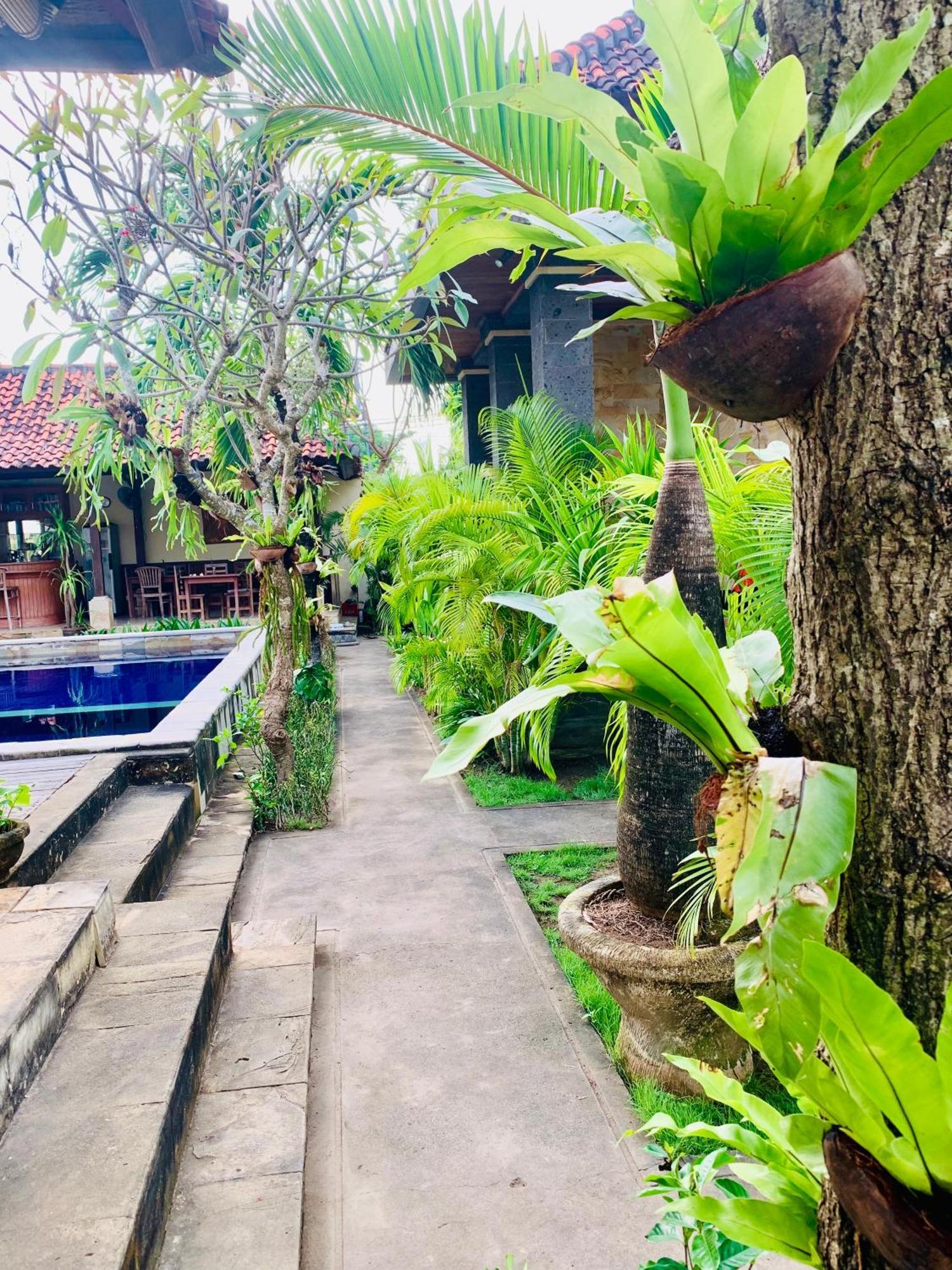 Wisma tamu Baruna Garden