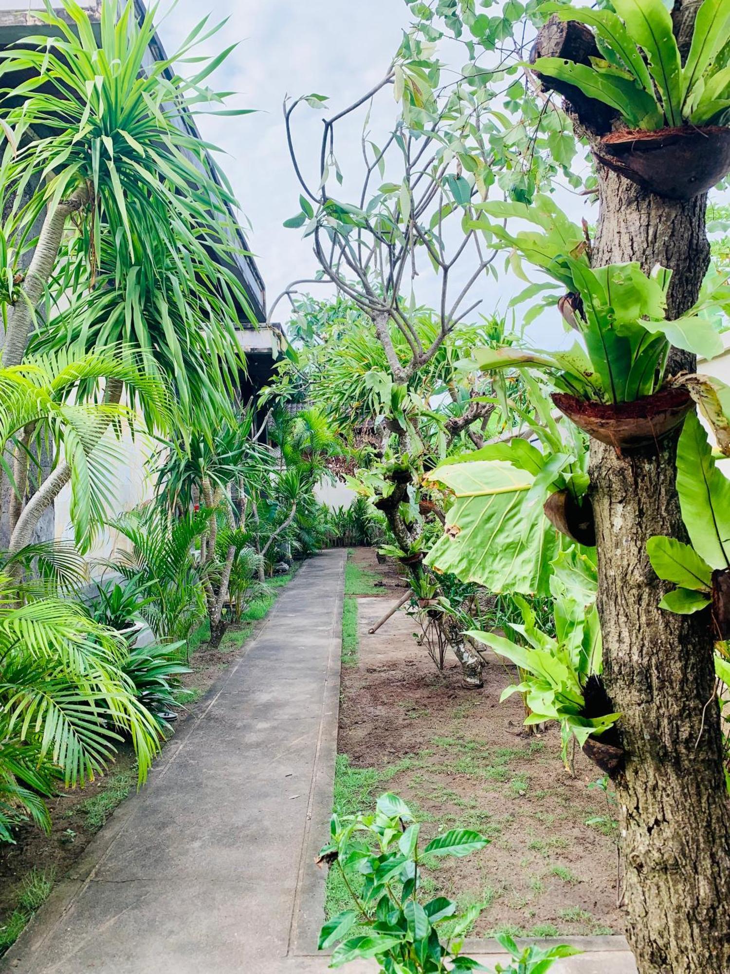 Wisma tamu Baruna Garden 2*