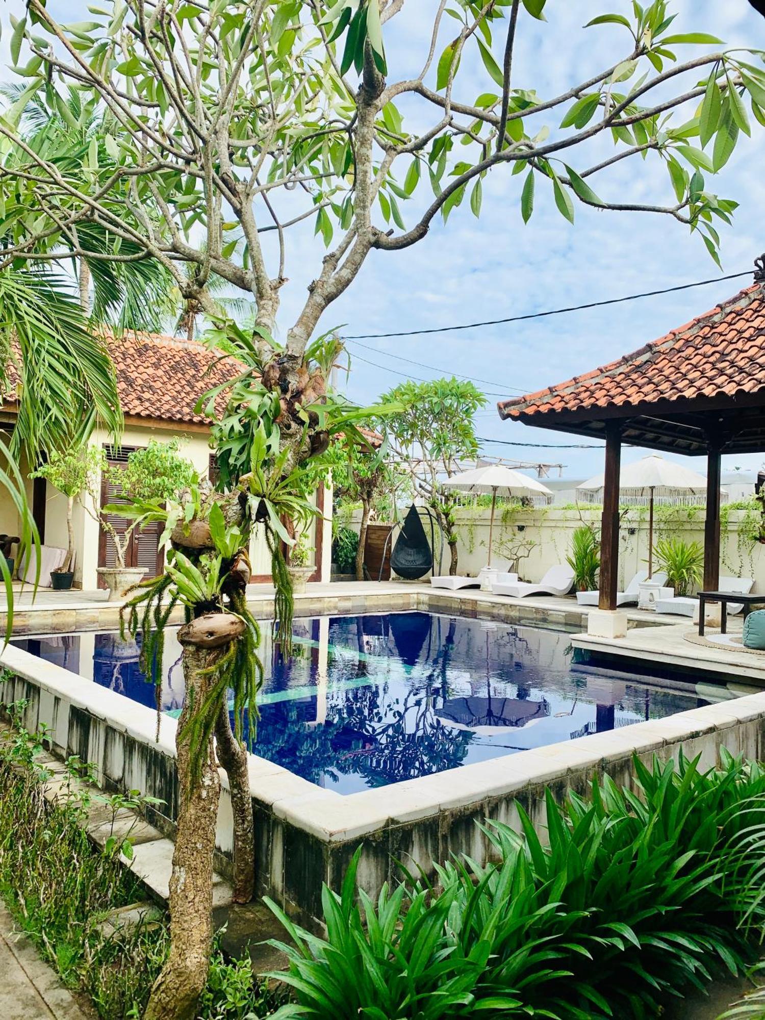 Wisma tamu Baruna Garden