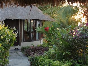 Coconuts Holiday park 2*