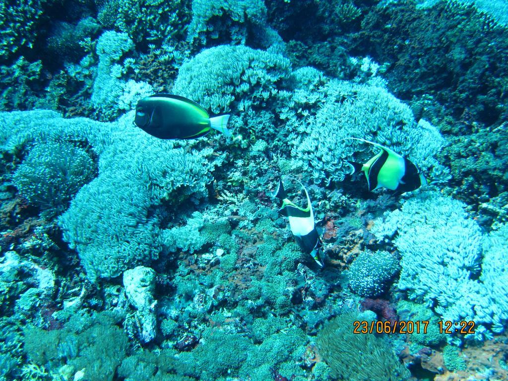 Putra 7 Holiday park Nusa Lembongan (Bali)