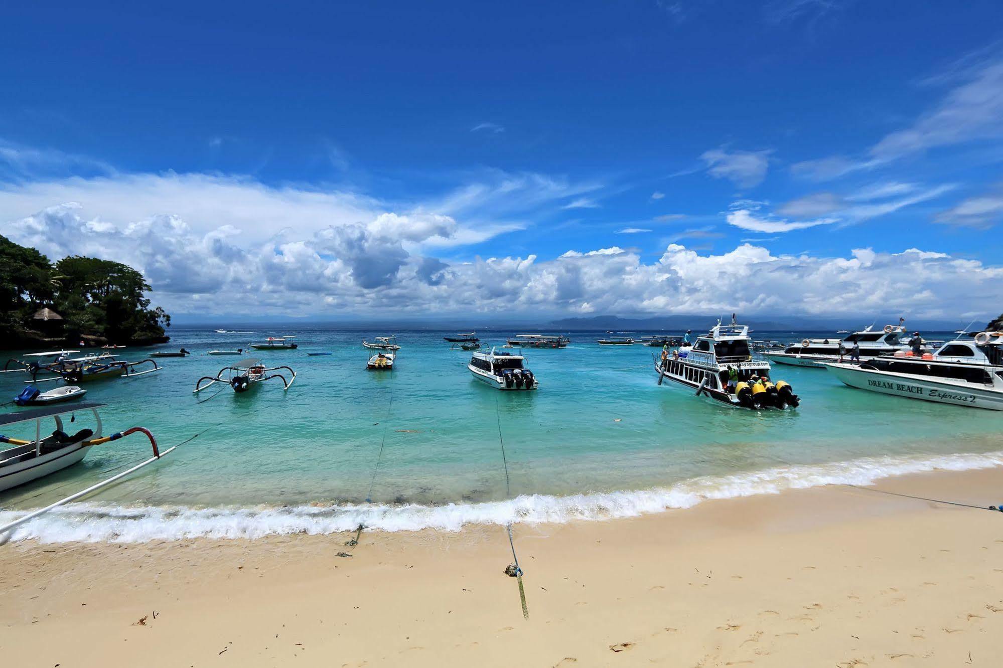 Naradas Mushroom Beach Homestay *