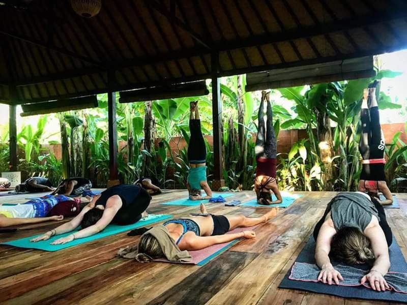 Garden Yoga And Holistic Healing Center Guest house 2*