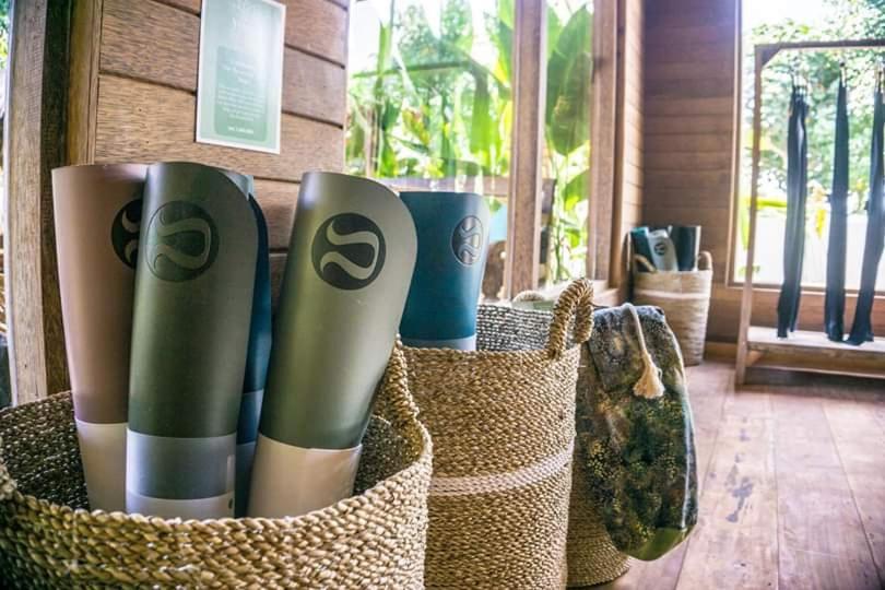 Garden Yoga And Holistic Healing Center Guest house