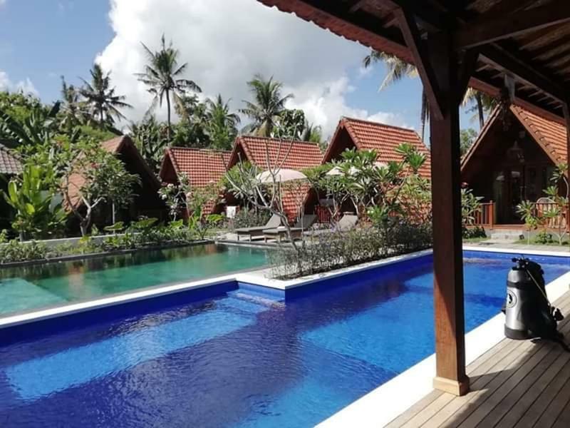Guest house Garden Yoga And Holistic Healing Center 2*