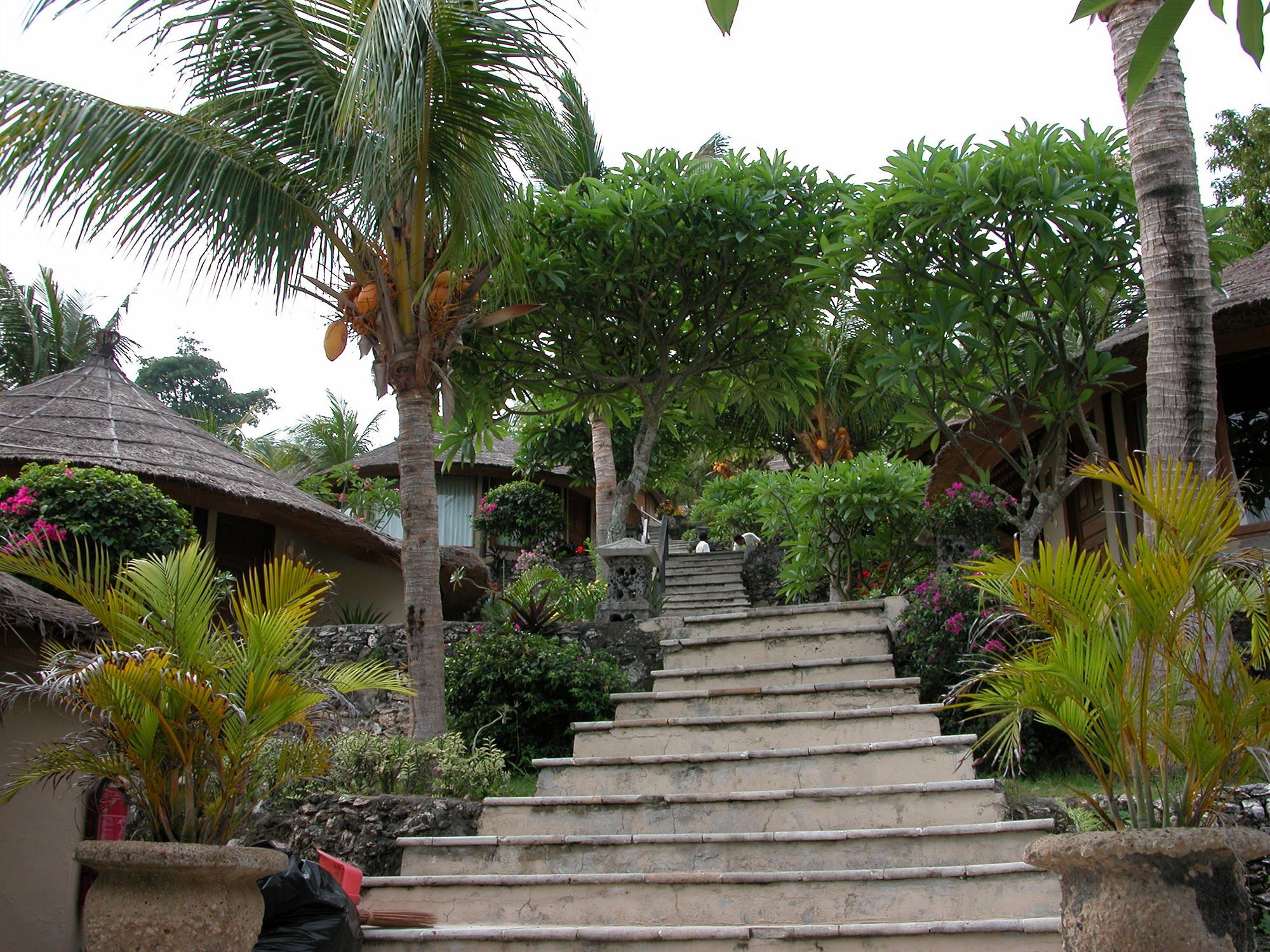 Coconuts 2* Nusa Lembongan (Bali)
